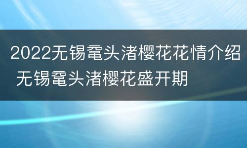 2022无锡鼋头渚樱花花情介绍 无锡鼋头渚樱花盛开期