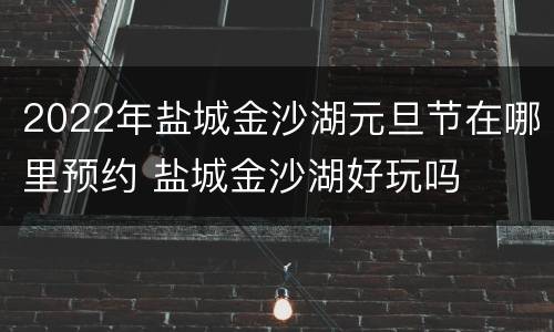 2022年盐城金沙湖元旦节在哪里预约 盐城金沙湖好玩吗