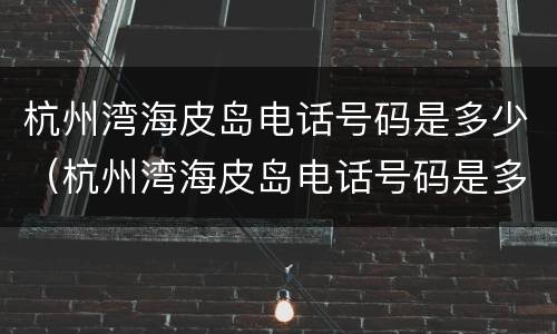 杭州湾海皮岛电话号码是多少（杭州湾海皮岛电话号码是多少号）
