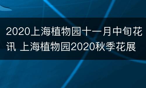 2020上海植物园十一月中旬花讯 上海植物园2020秋季花展