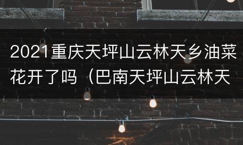 2021重庆天坪山云林天乡油菜花开了吗（巴南天坪山云林天乡油菜花）