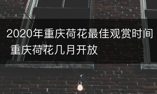 2020年重庆荷花最佳观赏时间 重庆荷花几月开放