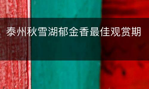 泰州秋雪湖郁金香最佳观赏期