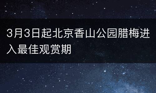 3月3日起北京香山公园腊梅进入最佳观赏期