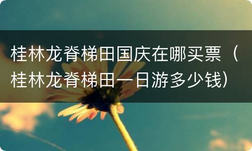 桂林龙脊梯田国庆在哪买票（桂林龙脊梯田一日游多少钱）