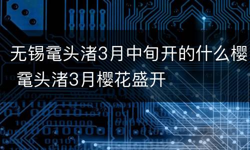 无锡鼋头渚3月中旬开的什么樱 鼋头渚3月樱花盛开