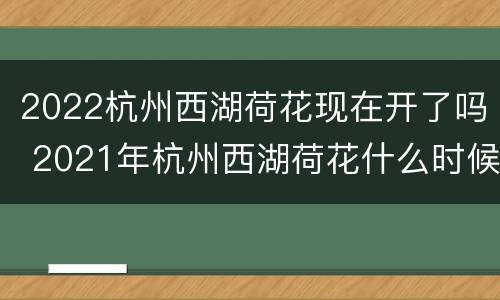 2022杭州西湖荷花现在开了吗 2021年杭州西湖荷花什么时候开