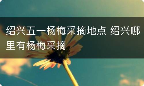 绍兴五一杨梅采摘地点 绍兴哪里有杨梅采摘
