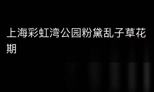上海彩虹湾公园粉黛乱子草花期