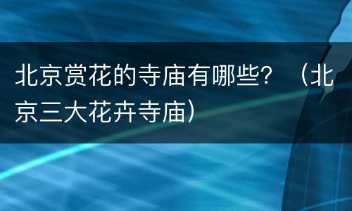 北京赏花的寺庙有哪些？（北京三大花卉寺庙）
