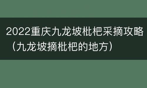 2022重庆九龙坡枇杷采摘攻略（九龙坡摘枇杷的地方）