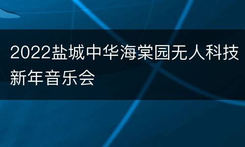2022盐城中华海棠园无人科技新年音乐会