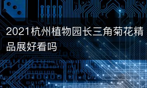 2021杭州植物园长三角菊花精品展好看吗