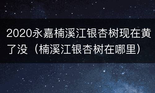 2020永嘉楠溪江银杏树现在黄了没（楠溪江银杏树在哪里）