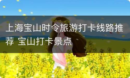 上海宝山时令旅游打卡线路推荐 宝山打卡景点