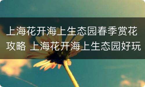 上海花开海上生态园春季赏花攻略 上海花开海上生态园好玩吗