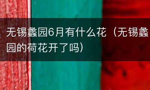 无锡蠡园6月有什么花（无锡蠡园的荷花开了吗）