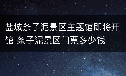 盐城条子泥景区主题馆即将开馆 条子泥景区门票多少钱