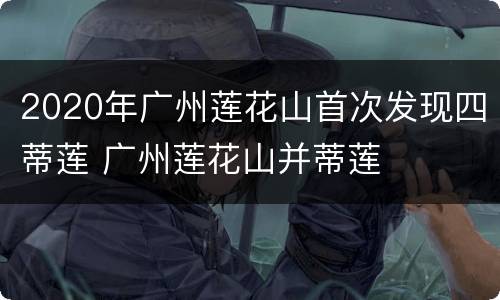 2020年广州莲花山首次发现四蒂莲 广州莲花山并蒂莲