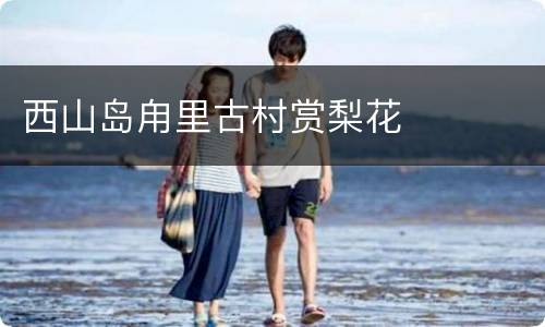 西山岛甪里古村赏梨花
