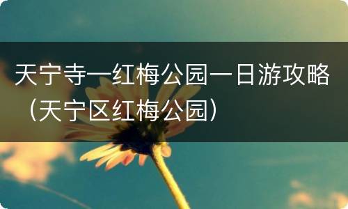 天宁寺—红梅公园一日游攻略（天宁区红梅公园）
