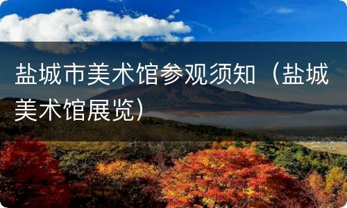 盐城市美术馆参观须知（盐城美术馆展览）