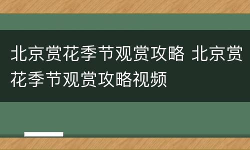 北京赏花季节观赏攻略 北京赏花季节观赏攻略视频