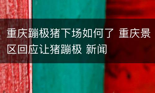 重庆蹦极猪下场如何了 重庆景区回应让猪蹦极 新闻