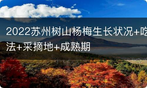 2022苏州树山杨梅生长状况+吃法+采摘地+成熟期