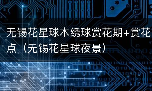 无锡花星球木绣球赏花期+赏花点（无锡花星球夜景）