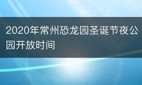 2020年常州恐龙园圣诞节夜公园开放时间