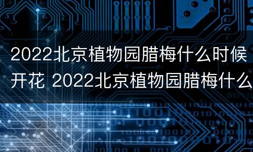 2022北京植物园腊梅什么时候开花 2022北京植物园腊梅什么时候开花呀