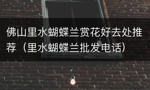 佛山里水蝴蝶兰赏花好去处推荐（里水蝴蝶兰批发电话）