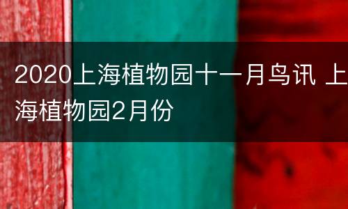 2020上海植物园十一月鸟讯 上海植物园2月份