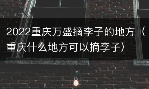 2022重庆万盛摘李子的地方（重庆什么地方可以摘李子）