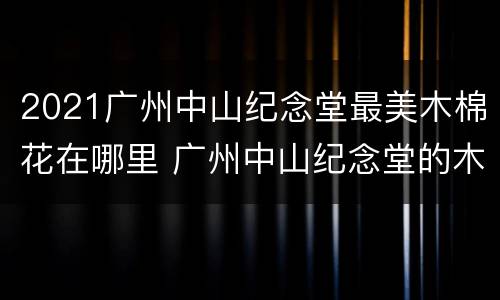 2021广州中山纪念堂最美木棉花在哪里 广州中山纪念堂的木棉花图片