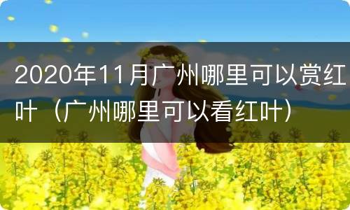 2020年11月广州哪里可以赏红叶（广州哪里可以看红叶）