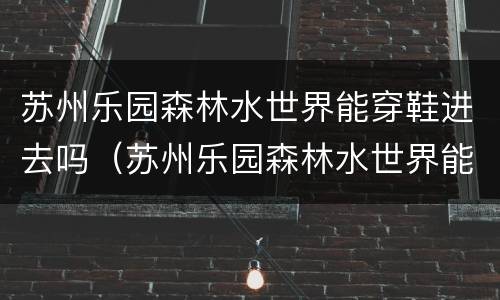 苏州乐园森林水世界能穿鞋进去吗（苏州乐园森林水世界能穿拖鞋进去吗）
