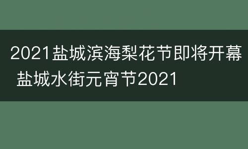 2021盐城滨海梨花节即将开幕 盐城水街元宵节2021