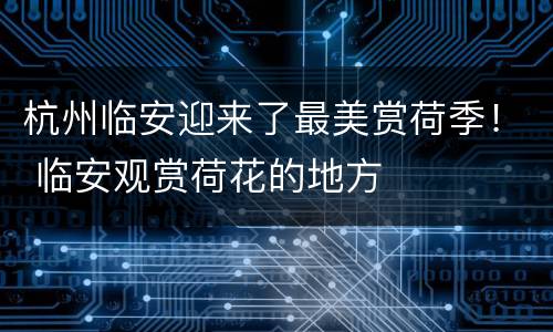 杭州临安迎来了最美赏荷季！ 临安观赏荷花的地方