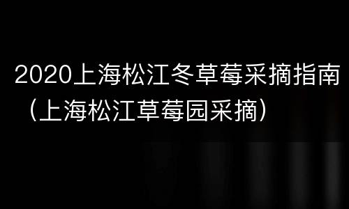 2020上海松江冬草莓采摘指南（上海松江草莓园采摘）