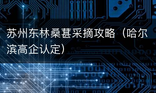 苏州东林桑葚采摘攻略（哈尔滨高企认定）