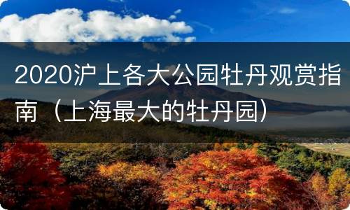 2020沪上各大公园牡丹观赏指南（上海最大的牡丹园）