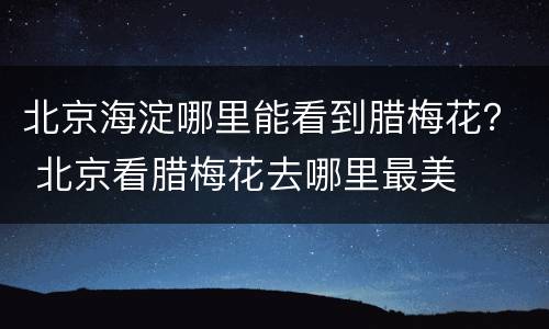 北京海淀哪里能看到腊梅花？ 北京看腊梅花去哪里最美