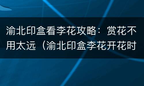 渝北印盒看李花攻略：赏花不用太远（渝北印盒李花开花时间）