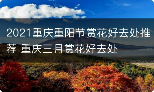 2021重庆重阳节赏花好去处推荐 重庆三月赏花好去处