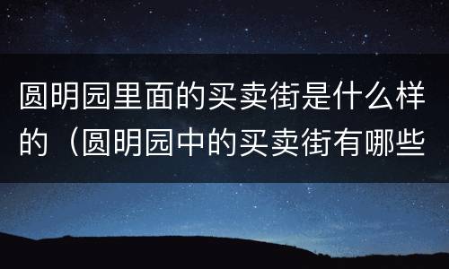 圆明园里面的买卖街是什么样的（圆明园中的买卖街有哪些）