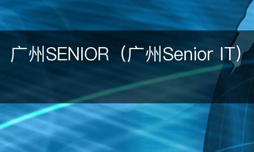 广州SENIOR（广州Senior IT）