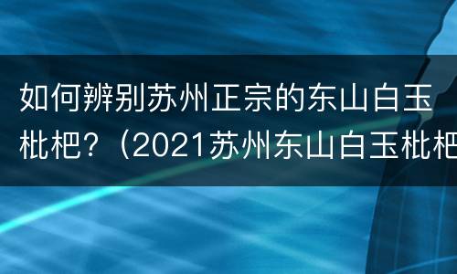 如何辨别苏州正宗的东山白玉枇杷?（2021苏州东山白玉枇杷上市时间）