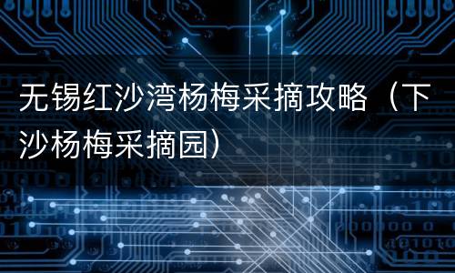 无锡红沙湾杨梅采摘攻略（下沙杨梅采摘园）
